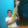 Andri ramadani