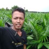 Usman Rahendie Alvaroo