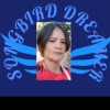 cfdr³🌟Bhel🌟SONGBIRD DREAMER🌟