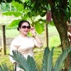 Sử Tuyết Hoa