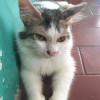 Echu
