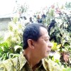 Wahyu Widodo