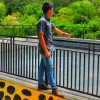 Yardy