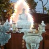 🎋 Lệ Khô♻️