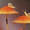 LESAGATA