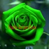 💕💫💫💕ASMI 💕💫💫💕