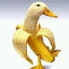 ヅBₐₙₐₙₐ DᵤCₖ ᬁ