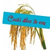 ☘️🌾Thuyết mưu hèn kế bẩn ☘️👍🌾😂