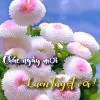 💗HoaMắcCỡ💗