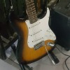 Fenderr81