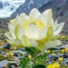 桂琴🌺🍀