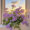 🍀kỷ niệm🍀