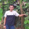 ahmad maulla   ahmad