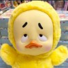 Bebek hanyut