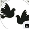 ❥. ....🕊