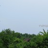 cendana4067