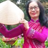 🌺Trần Hoa🌺