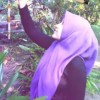 sherany