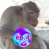🐒🐒วอกครับ🐒🐒