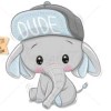 ₪‬‬ 𝐌𝐫. 𝐏𝐡𝐚𝐧𝐭🐘
