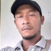 Rony 7157