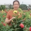 Thanh Phương