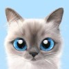 mmy cat😘