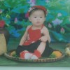 Hoàng Sang