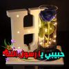 محمدسعدعرموش