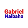 Gabriel Hasiholan Naibaho