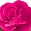 WeSing5238 🌹 SB 🌹