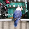 We 🎼 ♓️@rt 🎼Sing