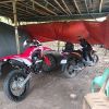 Dods Tumadiang