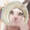 😻เบลล่า🌸☘️ 🎼Ⓜ️🅢Ⓒ🔹️𝘾