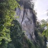 OGEID