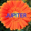 JUPITER