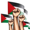 ☪︎♪♬H.j #IstandwithPalestine🇵🇸