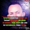 Farrel