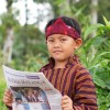 pak lex