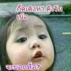 เครือฟ้า