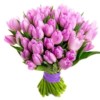 🌷💙💖Tulips💜💚🌷