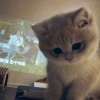 猫熊兔咖啡