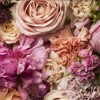 HEART & ROSES