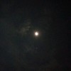 yonn_0785