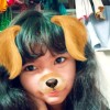 SquirCatBunFoxLj