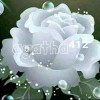agatha⁴¹²