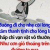 nắng