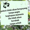 @MKS,didink
