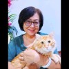 susie Tan