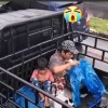 mmang
